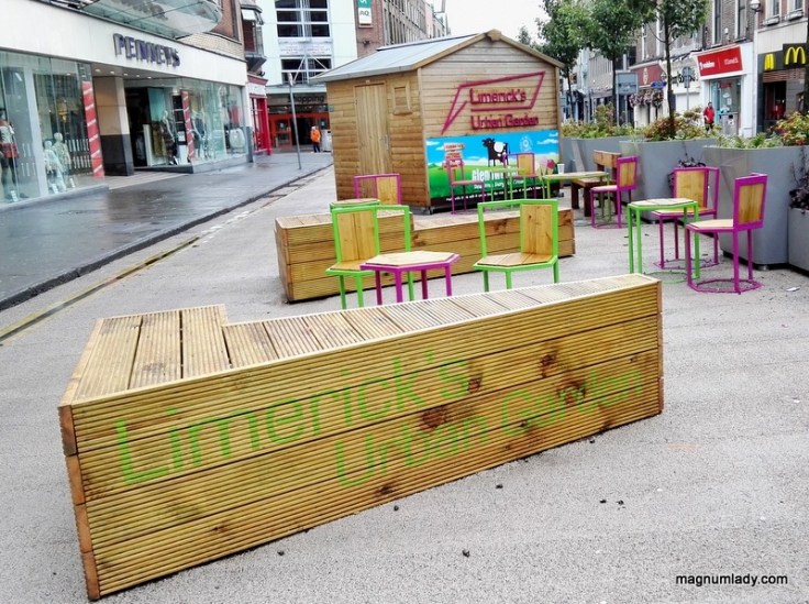 Limerick Urban Garden