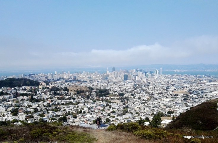 Twin Peaks View