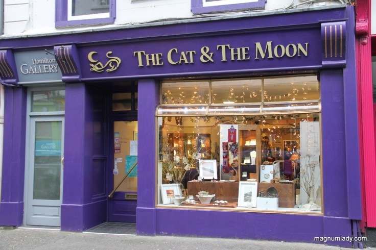 the-cat-and-the-moon