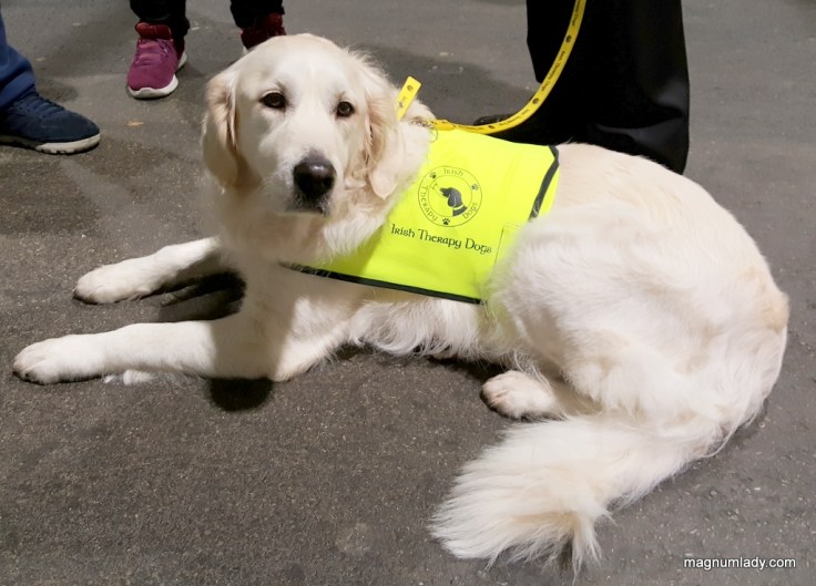 Irish Therapy Dogs