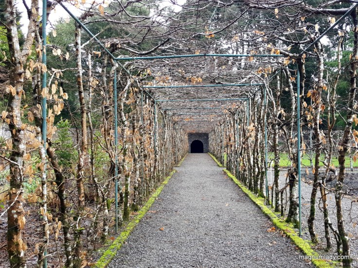 Ashford Castle Gardens