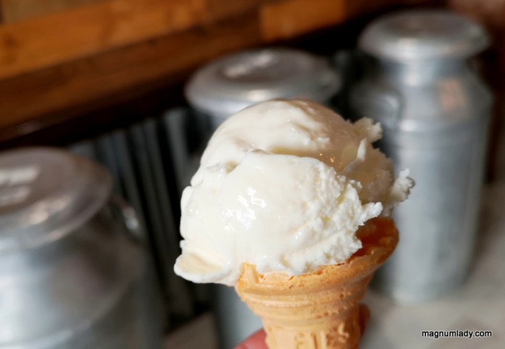 Ice cream Enniskillen Taste Experience