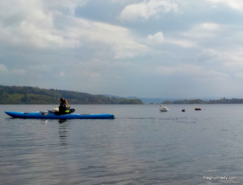 Kayak water swans