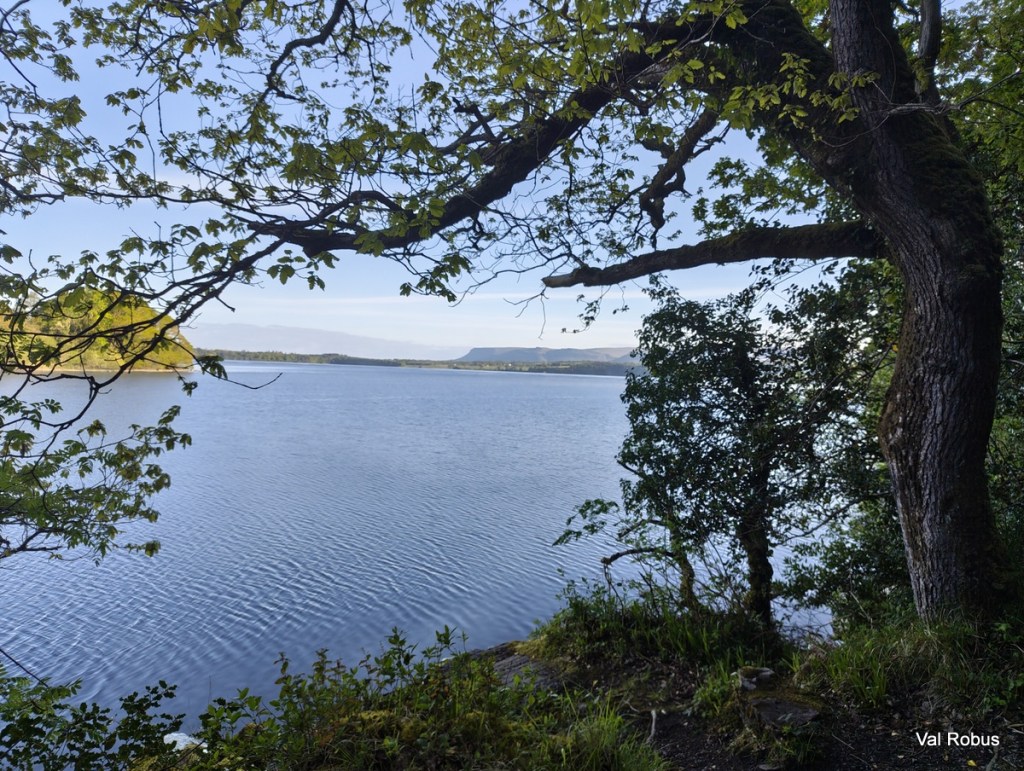 A serene view of a lake framed by trees, with clear blue skies and distant hills in the background.