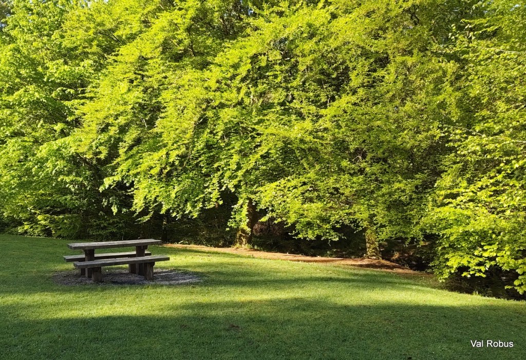 A sunny park scene featuring a wooden picnic table on a grassy area surrounded by vibrant green trees.