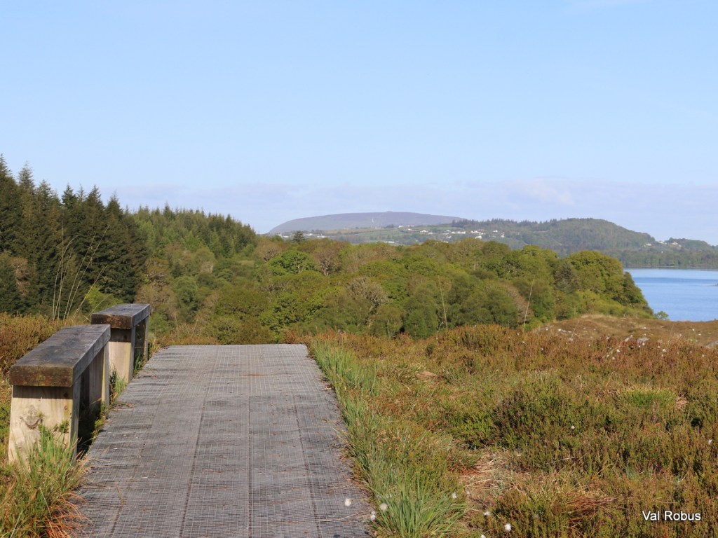 A wooden walkway leads through lush greenery, with trees on the left and a serene landscape view of rolling hills and a body of water in the distance under a clear blue sky.