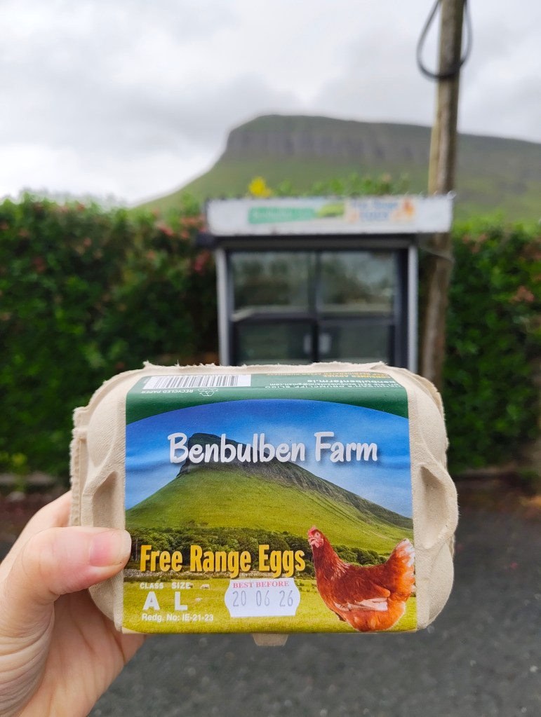 A person holding a carton of Benbulben Farm Free Range Eggs with a mountain backdrop and greenery.