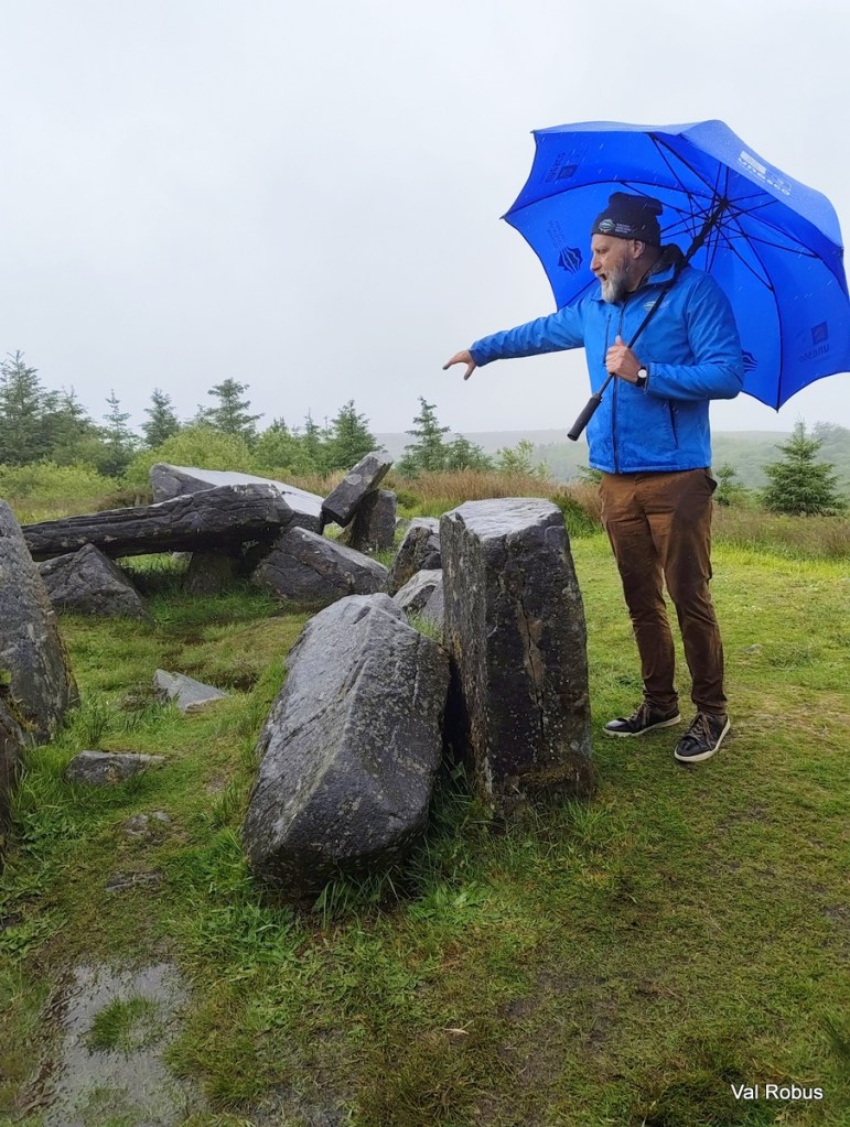 A man standing outdoors under a blue umbrella, pointing towards a series of stone formations in a grassy area with trees in the background, during a rainy day.
