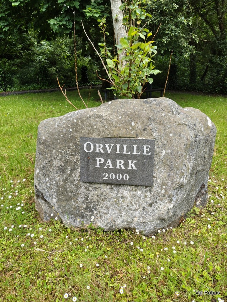 A stone monument with a plaque that reads 'Orville Park 2000', surrounded by green grass and small white flowers.