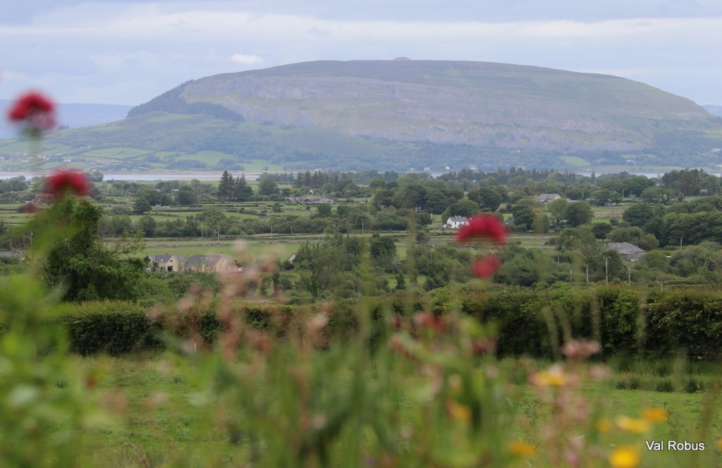 A scenic view of a rolling landscape with green fields and scattered houses, framed by flowers in the foreground and a prominent hill in the background under a cloudy sky.