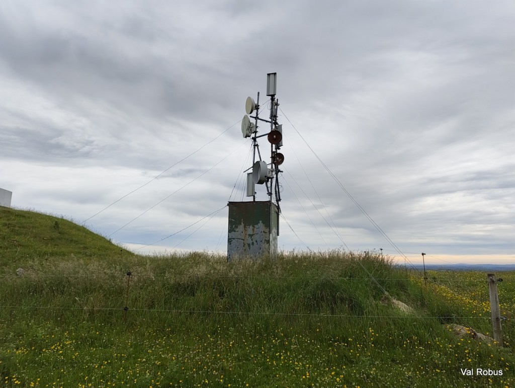 A communications tower on a grassy hill, surrounded by wildflowers, under a cloudy sky.