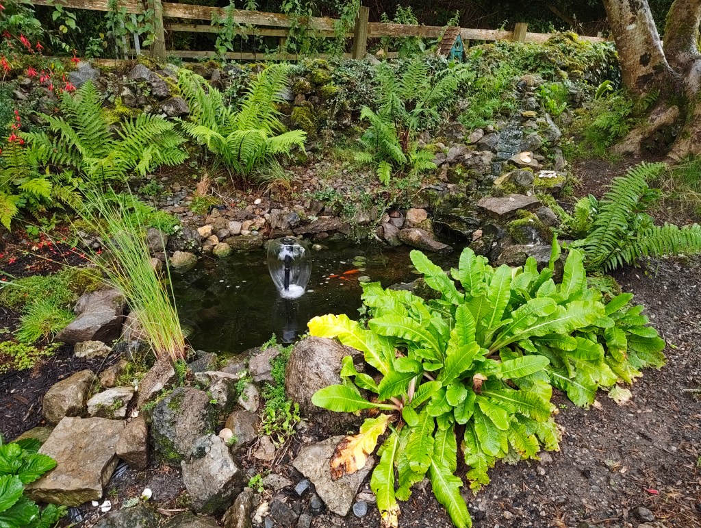 A serene garden pond surrounded by ferns and rocks, featuring a small fountain.