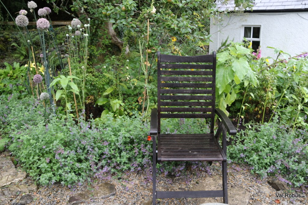 A wooden garden chair positioned amidst lush greenery and flowering plants, with tall stems and round flower heads in the background.